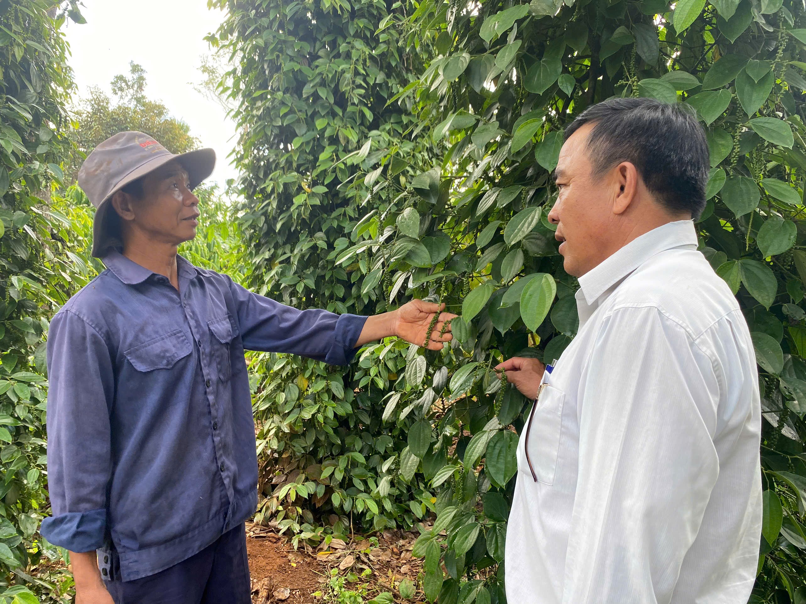 Người Tổ trưởng nhiệt tình luôn giúp hộ vay vốn&nbsp;vượt qua khó khăn nhờ nguồn vốn vay tín dụng chính sách