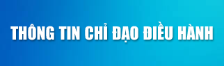 Chỉ đạo điều hành